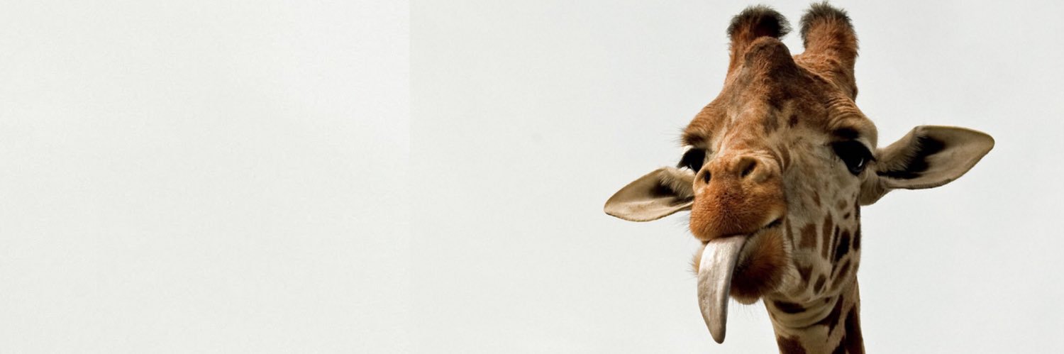 Catherinecm_'s profile banner image
