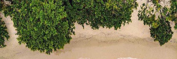 OmonukN Profile Banner