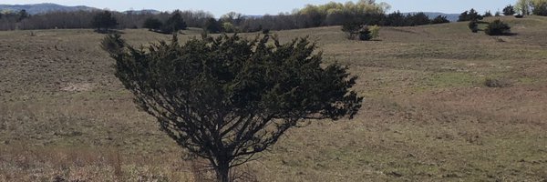 JMolseed Profile Banner