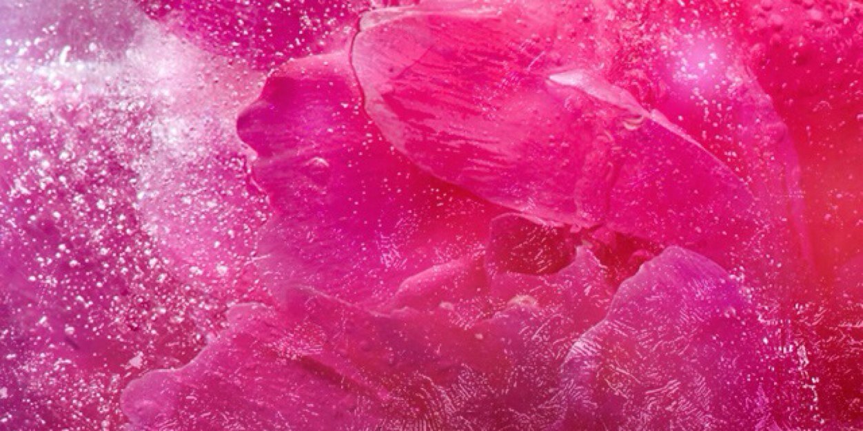 Samchiaoyen's profile banner image