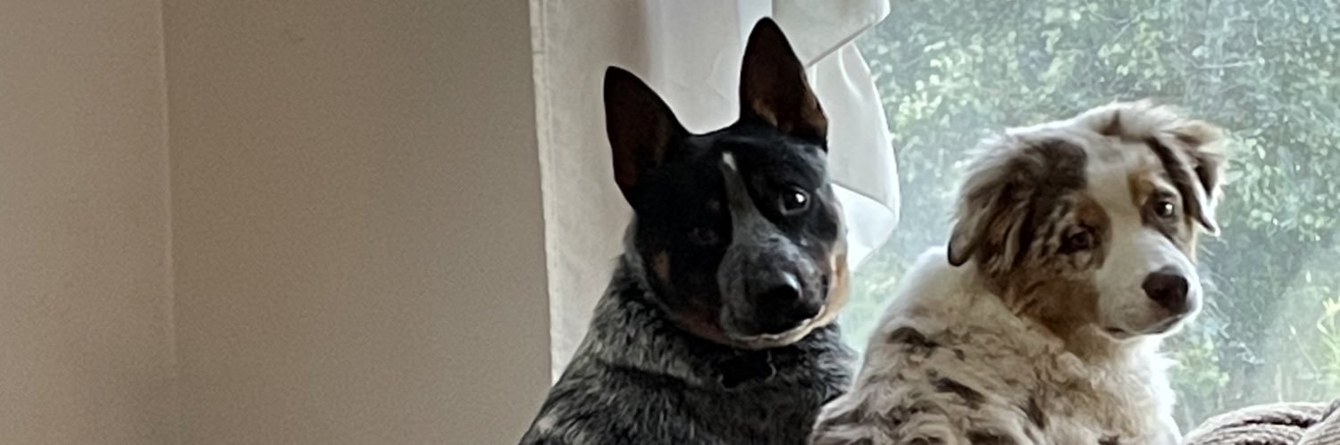 zacbryant18's profile banner image