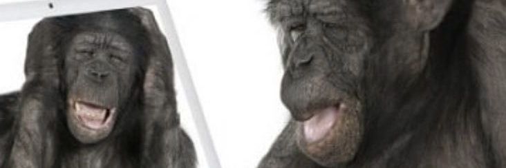 Ladcopl's profile banner image