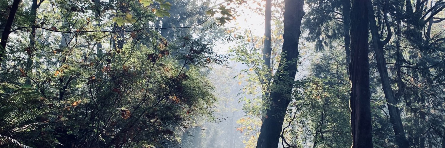 Oliver__Young's profile banner image