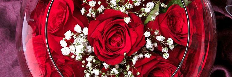 Anu_singh1010's profile banner image