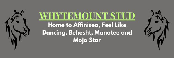 Whytemount_Stud Profile Banner