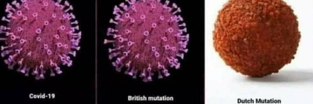 ⚓️New Times Ahead banner