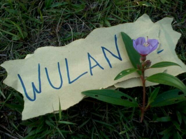 Wulancf10's profile banner image
