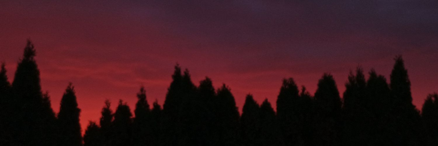 Thomas 🕊️ banner