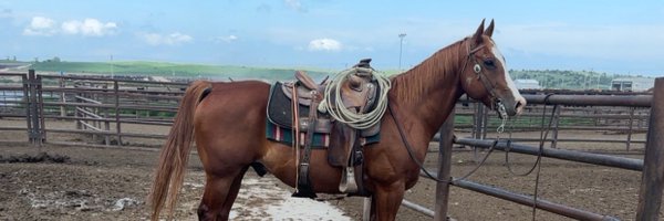 bagtapper Profile Banner