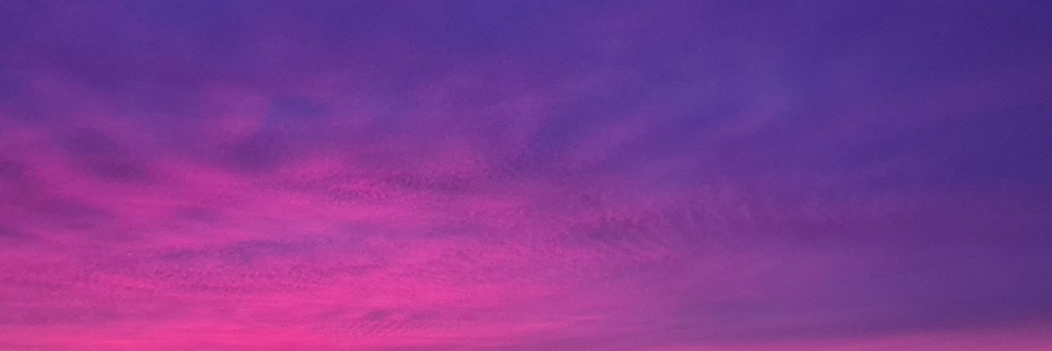 Elodielapicpuce's profile banner image