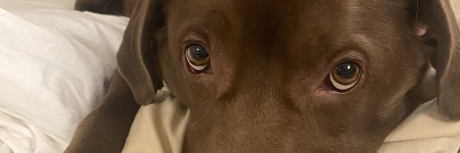 abmeredithx's profile banner image