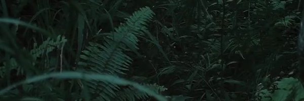 ade_yuandha Profile Banner