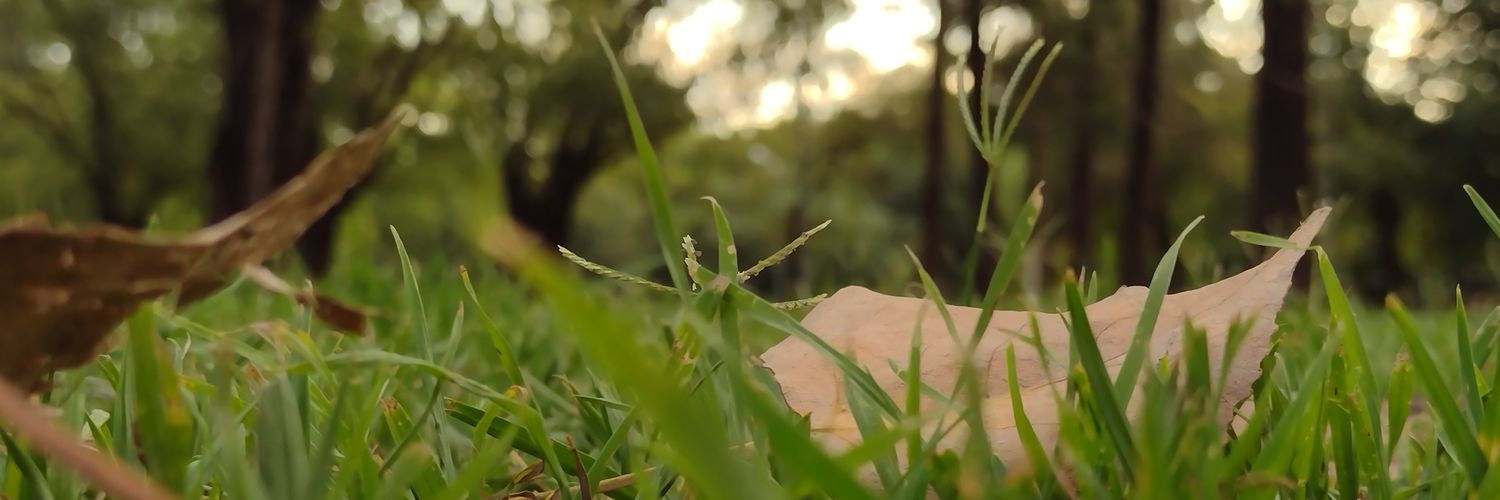 noelia_003's profile banner image