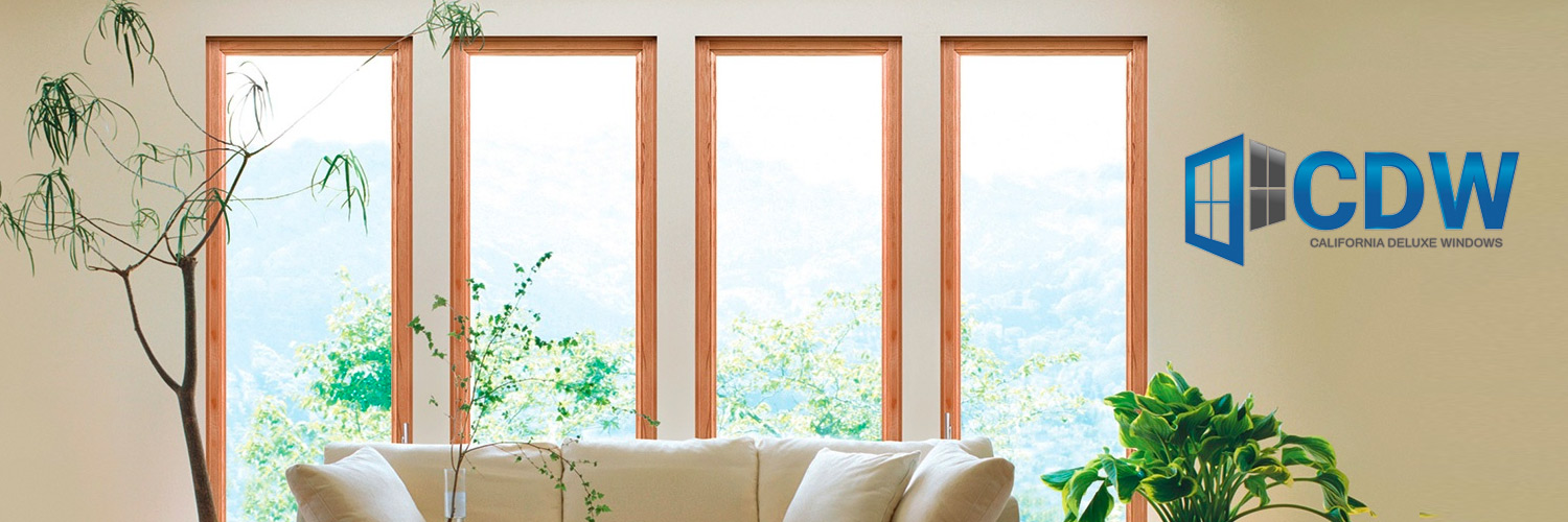 CDWindows_'s profile banner image