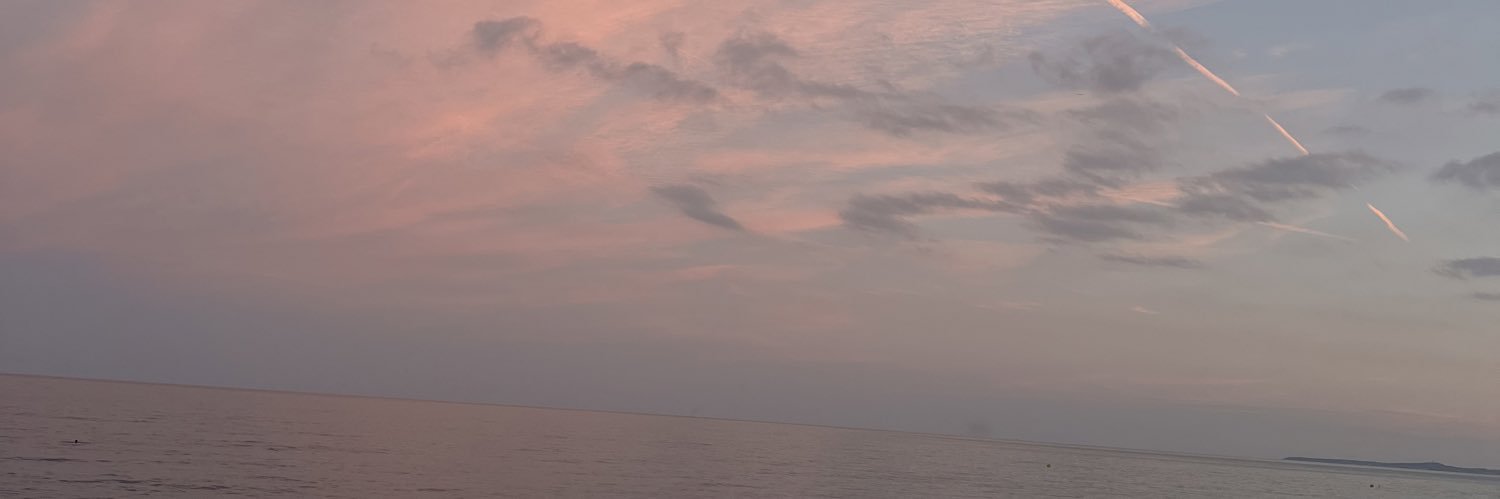 ami banner