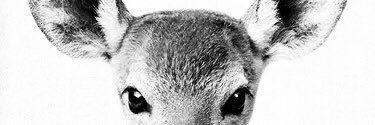 CourtneyJay_'s profile banner image