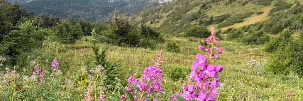 _emliu Profile Banner