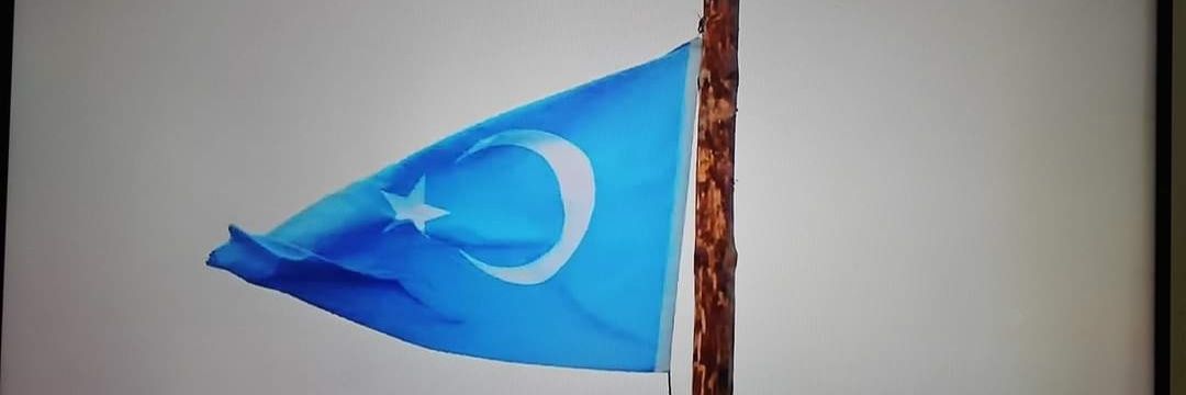 Ali Adnan KAYA banner