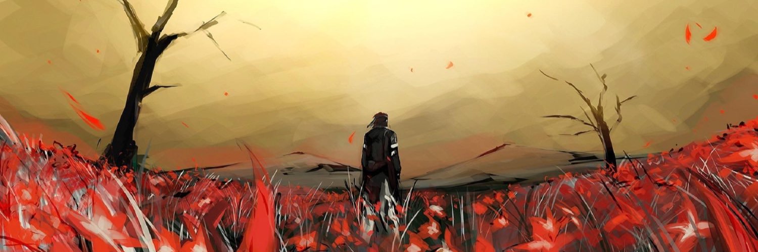 🇲🇽🇺🇸 banner