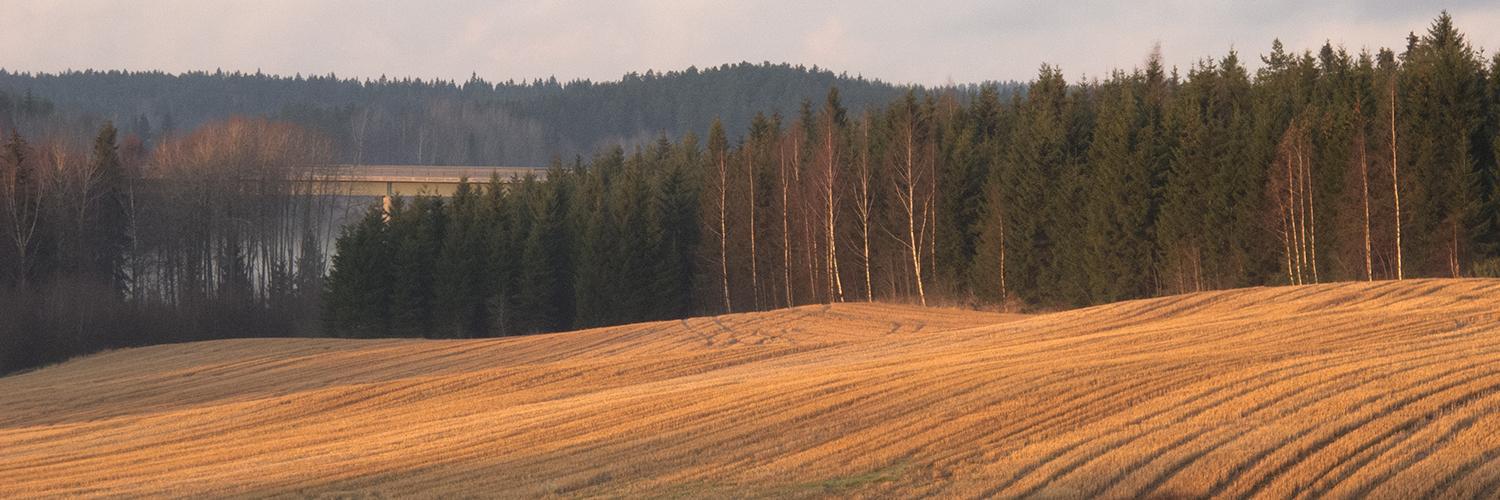 lounaispaikka's profile banner image