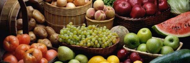 CTAcadNutrDietetics banner