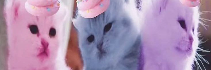 Alicornfluff's profile banner image