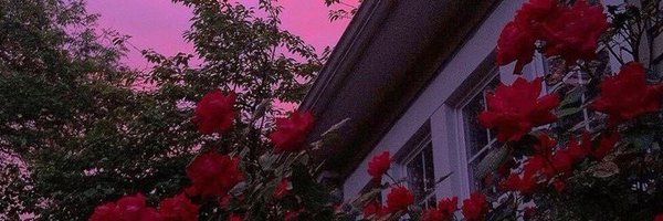 kv7m_ Profile Banner