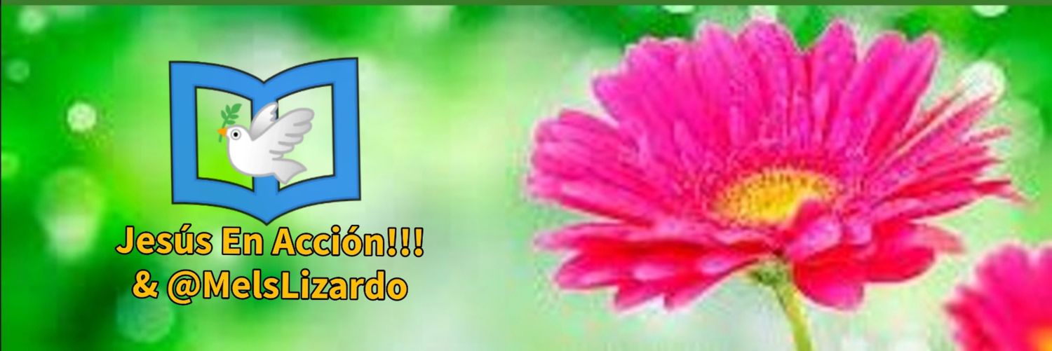 Melslizardo's profile banner image