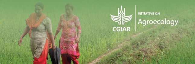 simonestaiger banner