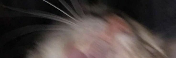 Super Duper banner