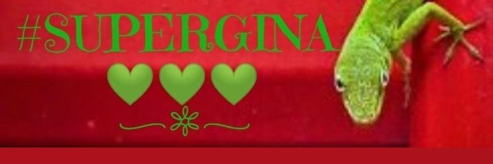 SuperGina♥️💚♥️'s banner
