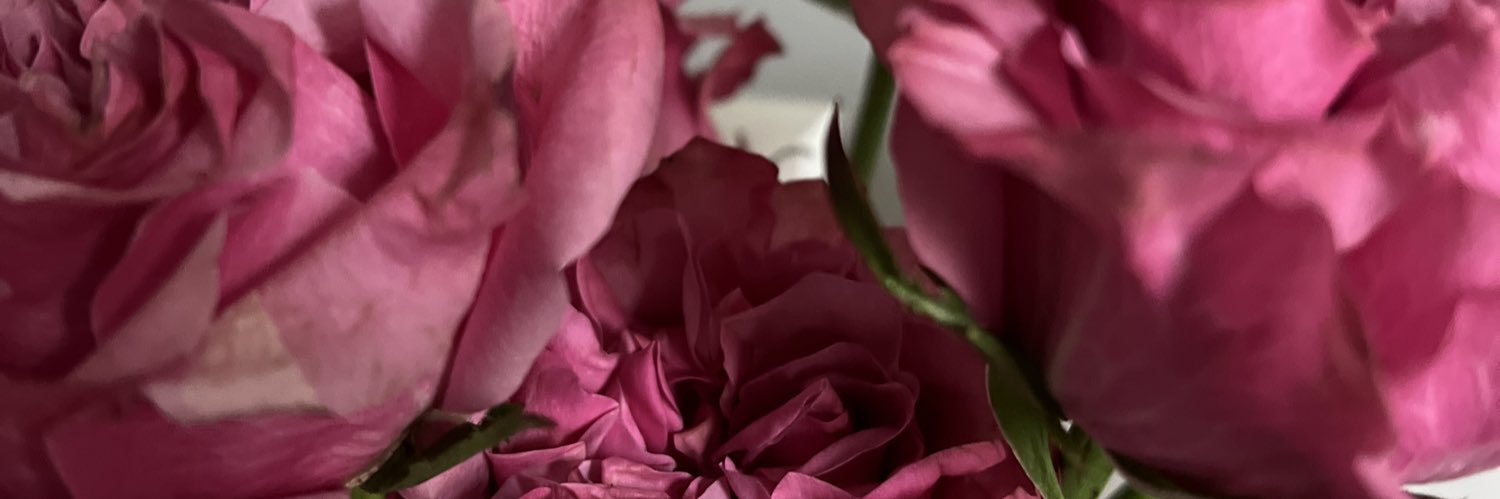ManiMariee's profile banner image