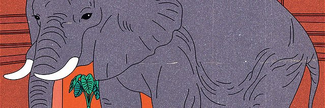 cupekcan's profile banner image