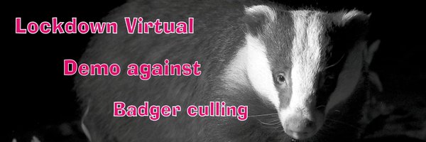 greywhisker Profile Banner