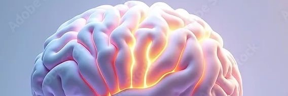 DoctoraSteph's profile banner image