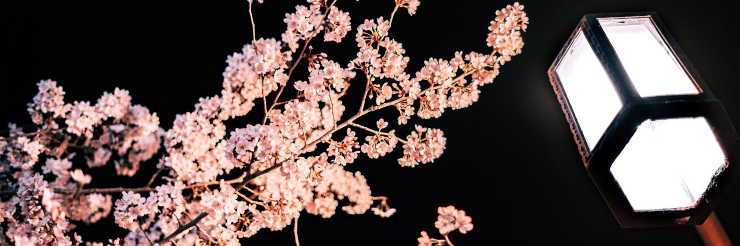 nardlyy's profile banner image