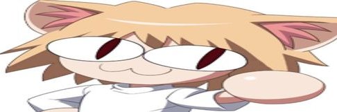 nat banner