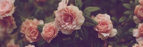 s_sseda's profile banner image