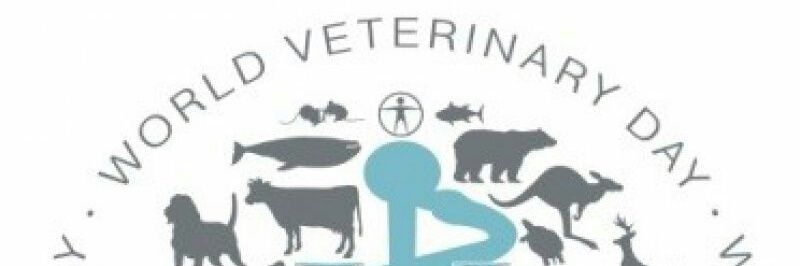 IUSA_ULPGC www.iusa.eu banner