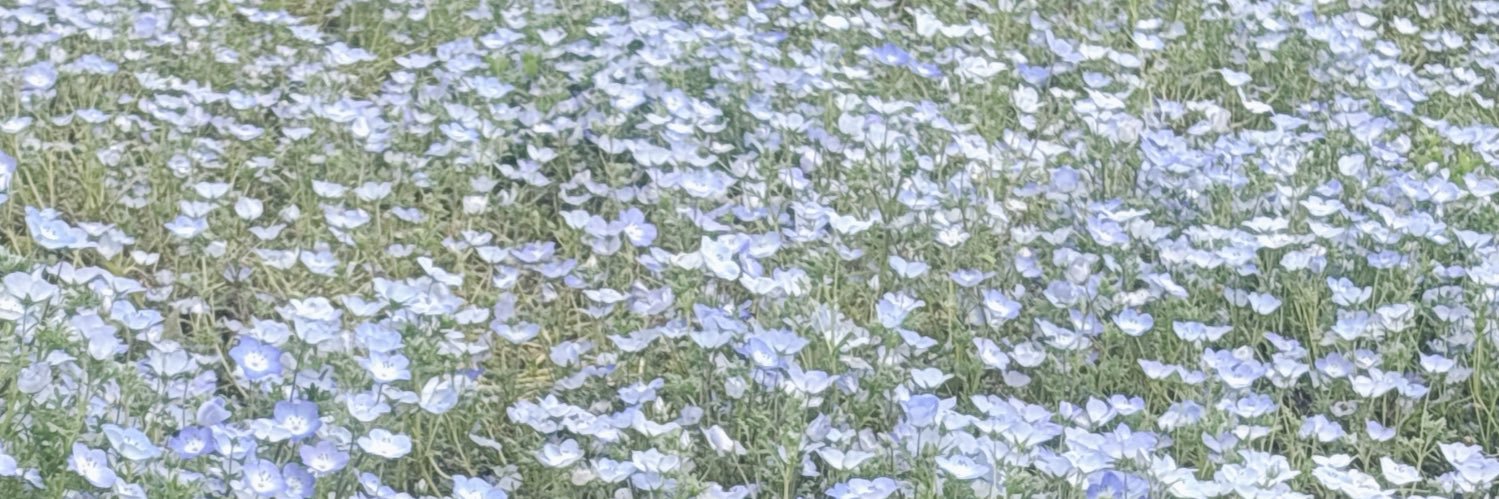malma1_36's profile banner image