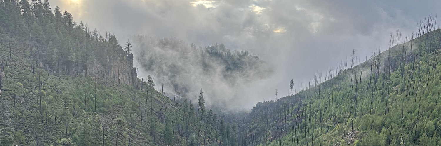 relevant_observer banner