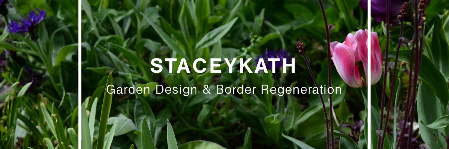 Stacey Kath banner
