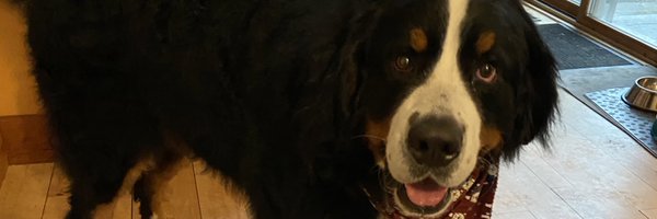 PadmaPande Profile Banner