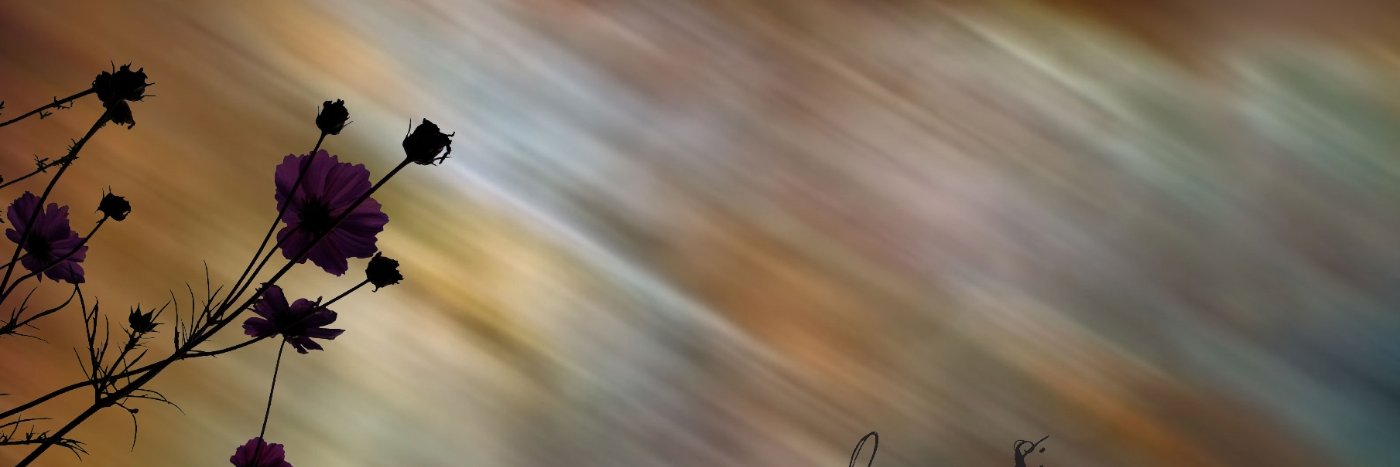 lou suSi ( he / him ) banner