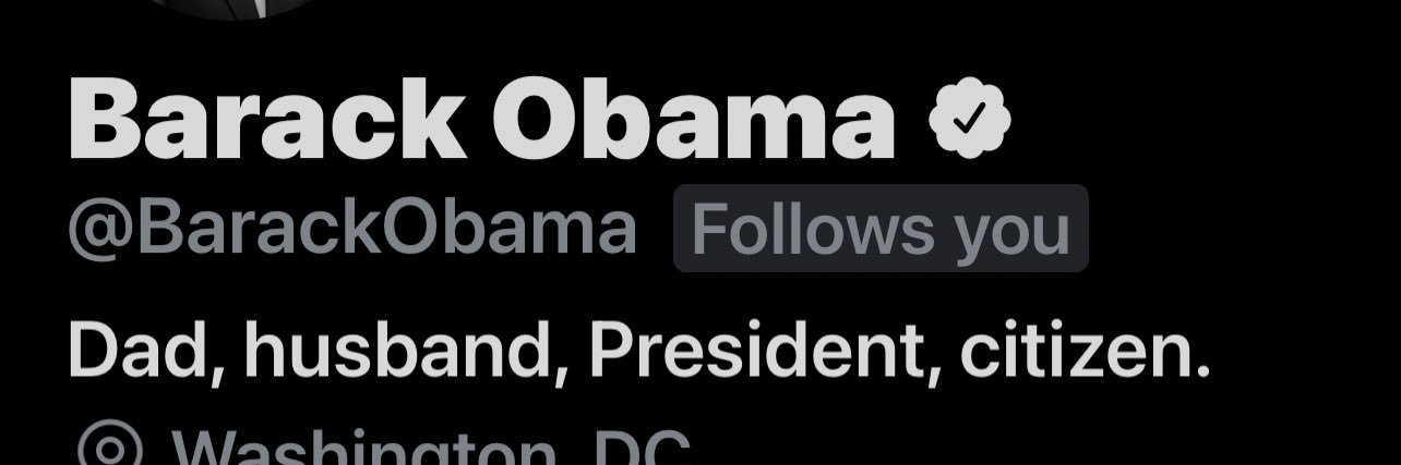 Totally fake big dick energy banner