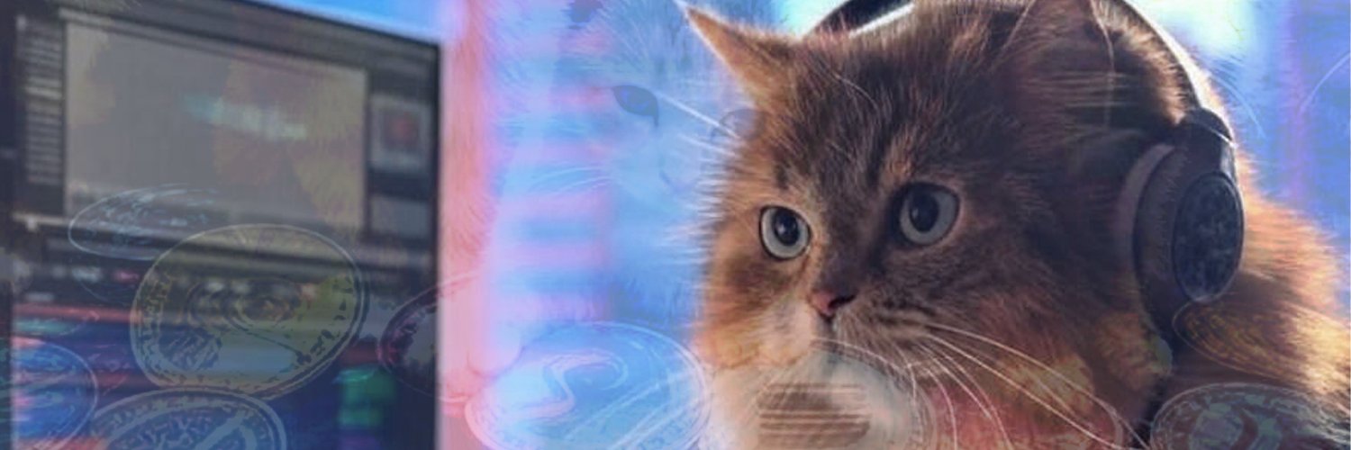kitty4D.sui.sol (🟣)(🟣)'s banner