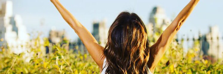 amykaneff's profile banner image