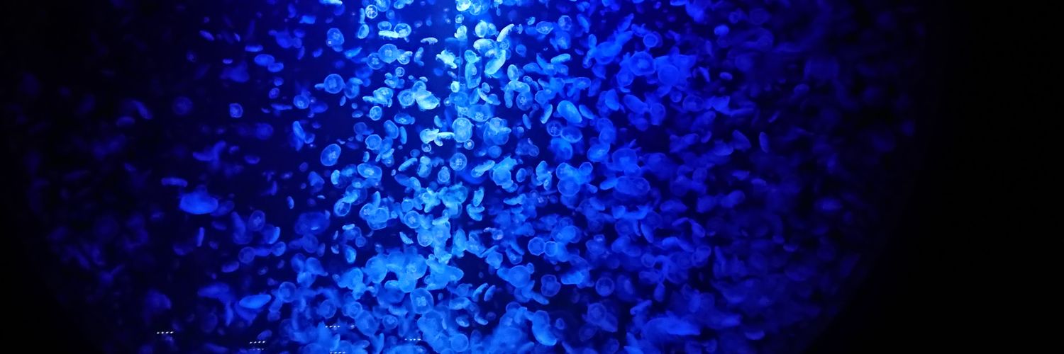 kogatuvasa's profile banner image
