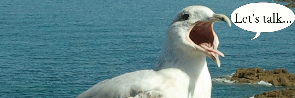 CoachRoth's profile banner image