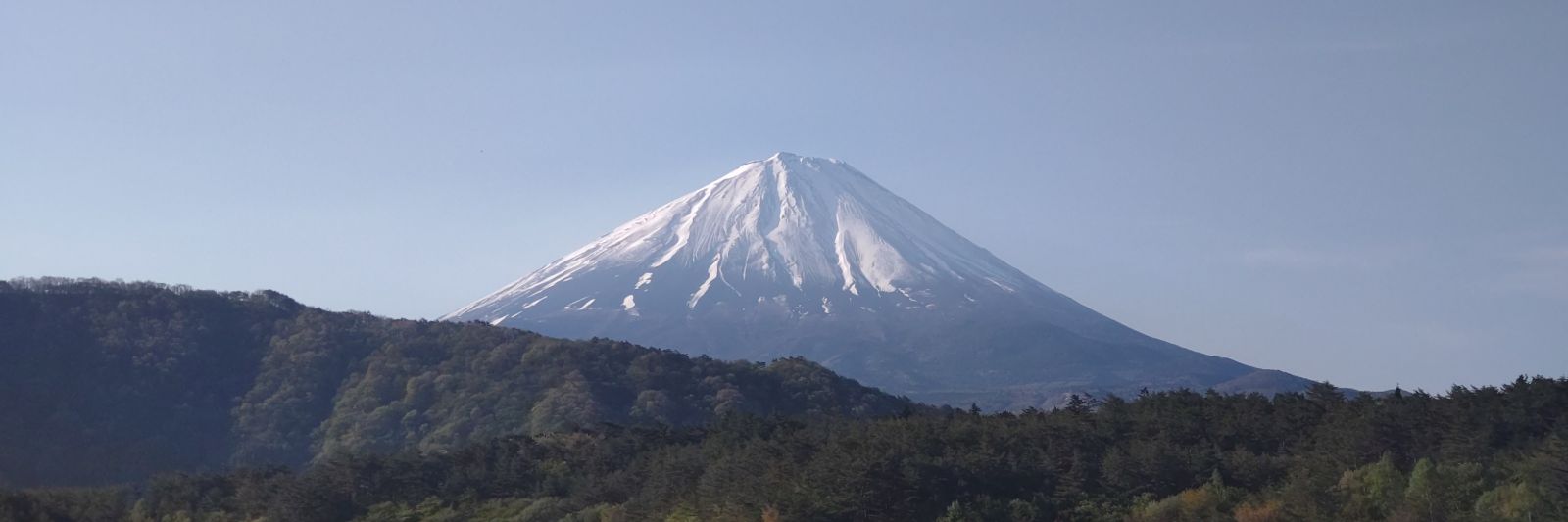 如月海翔 banner
